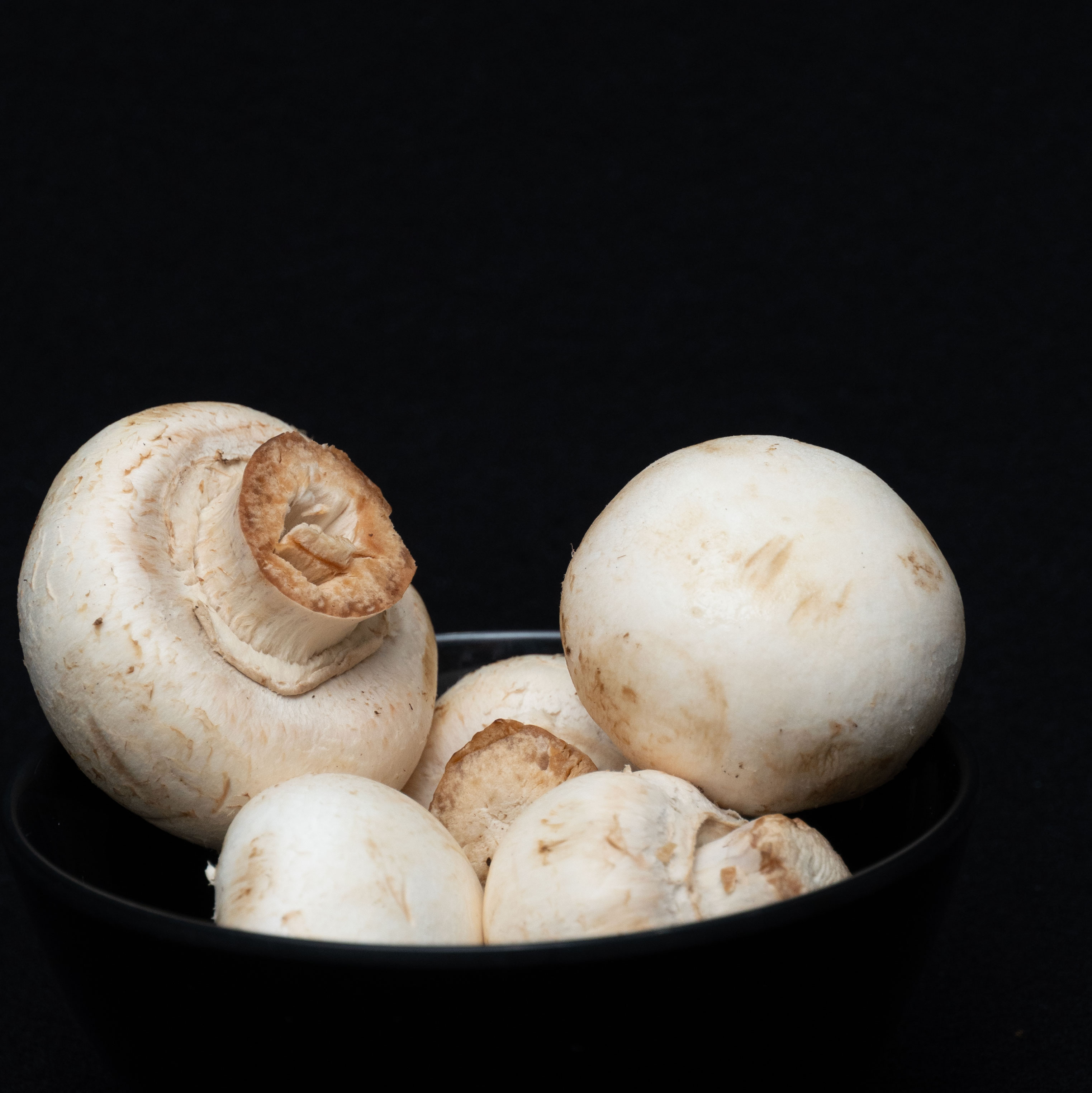 FOTOGRAFIA GASTRONÓMICA