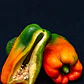 Fotografía Gastronómica - Miniatura 5
