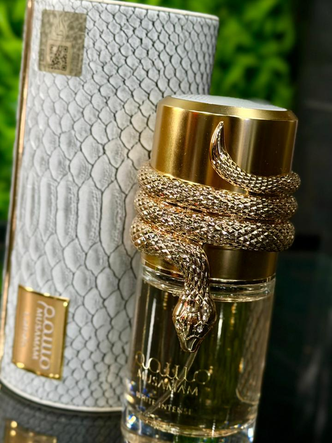 Musamam White Intense 1