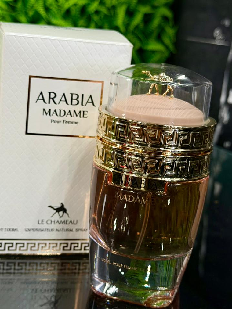 Arabia Madame 1