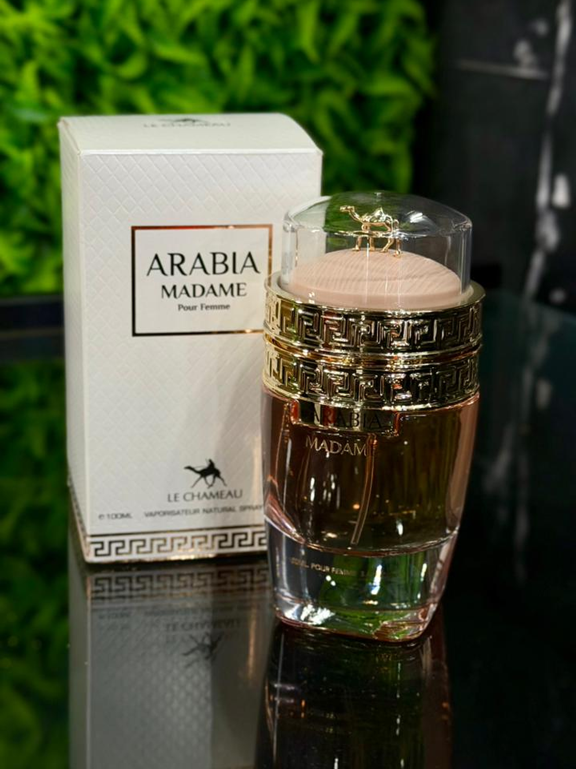 Arabia Madame 2