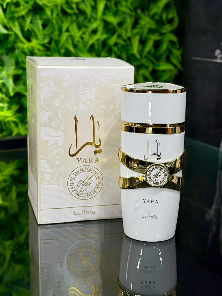 Yara Lattafa 2