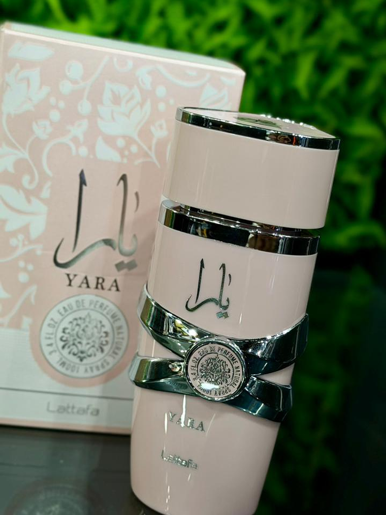 Yara Lattafa 1