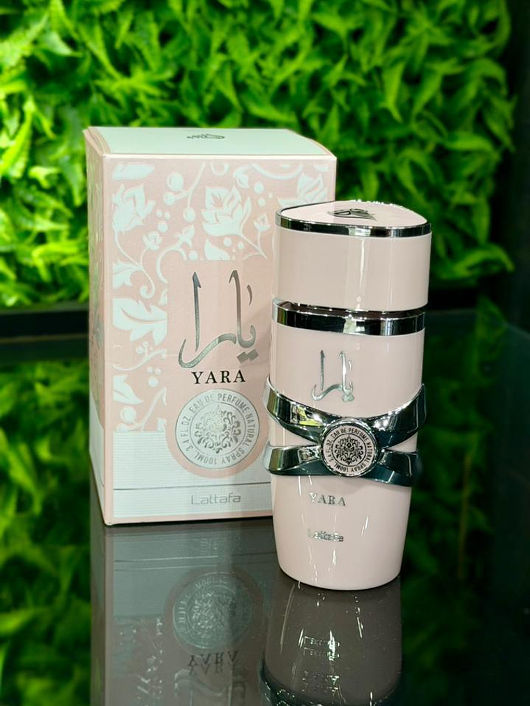 Yara Lattafa 2