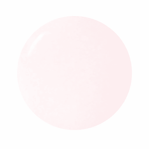 SCULPT GEL MISS SOFT ¡NUEVO!