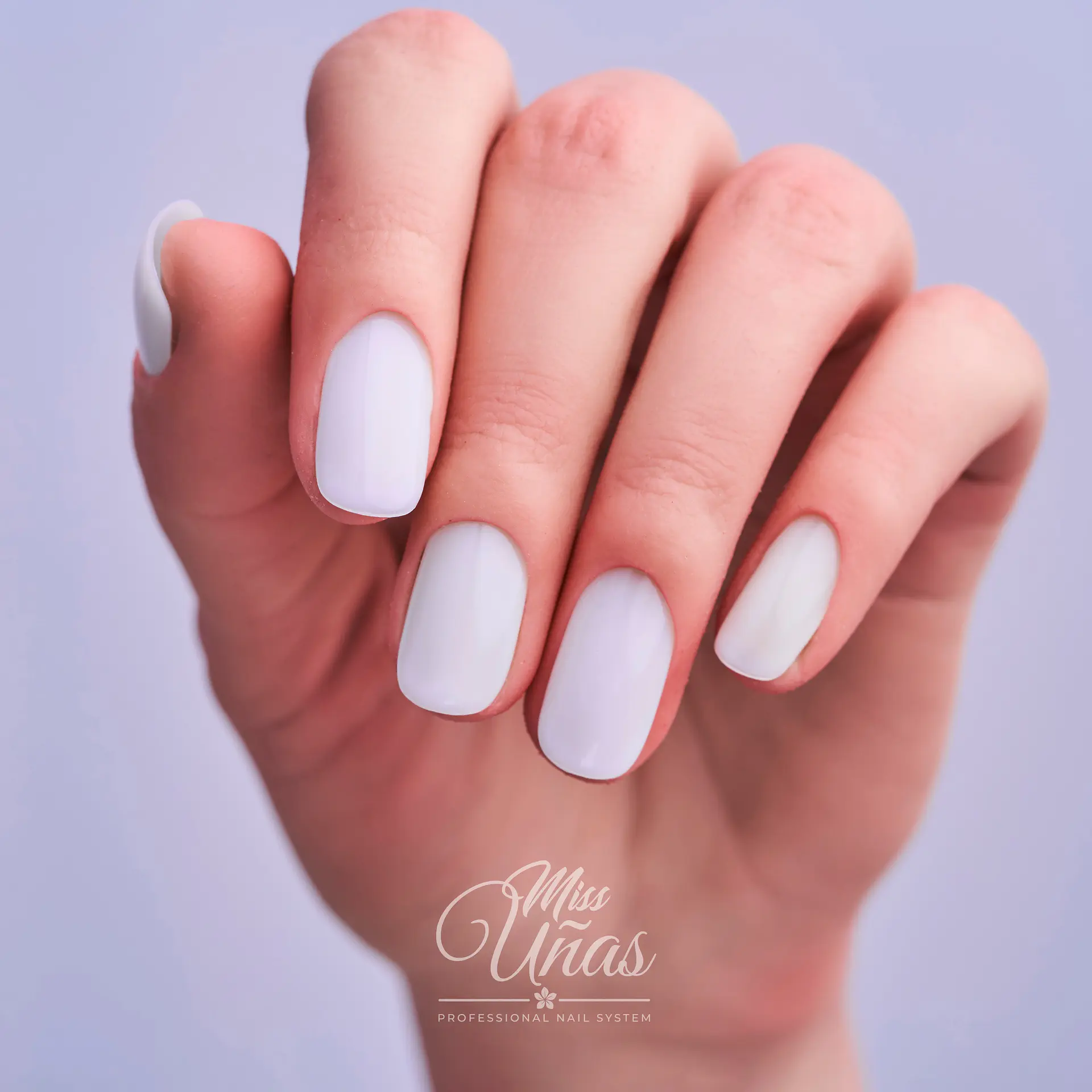 MS - 270 (MILKY LATTE) 2