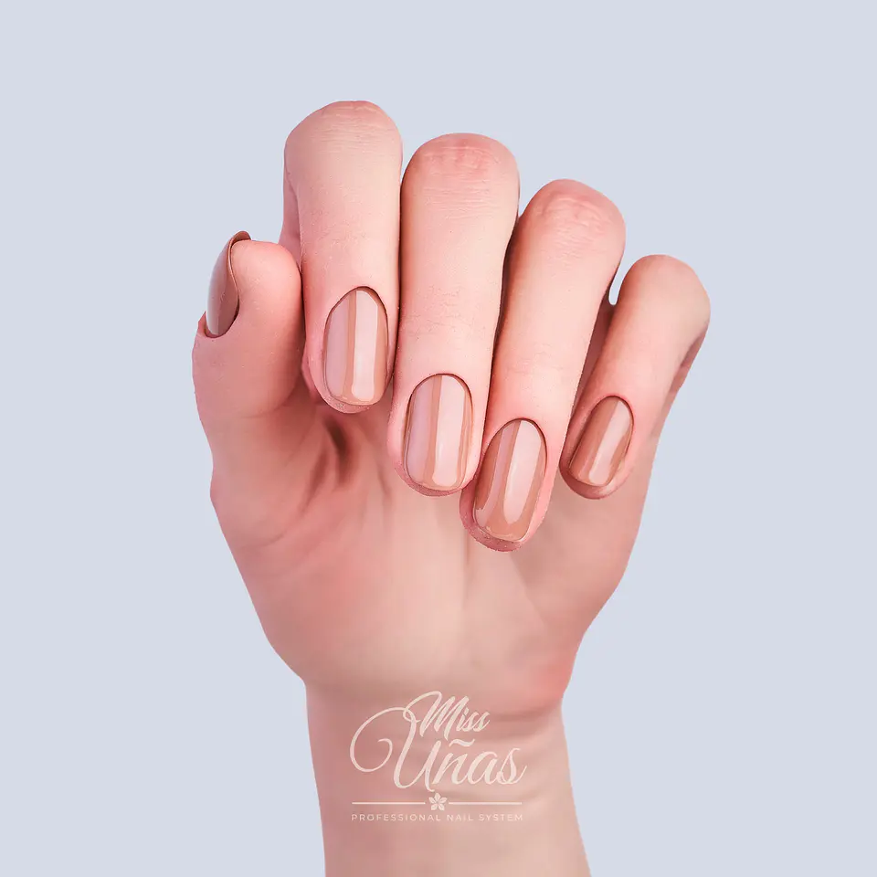 MS-301 MOCHA MOUSSE 2
