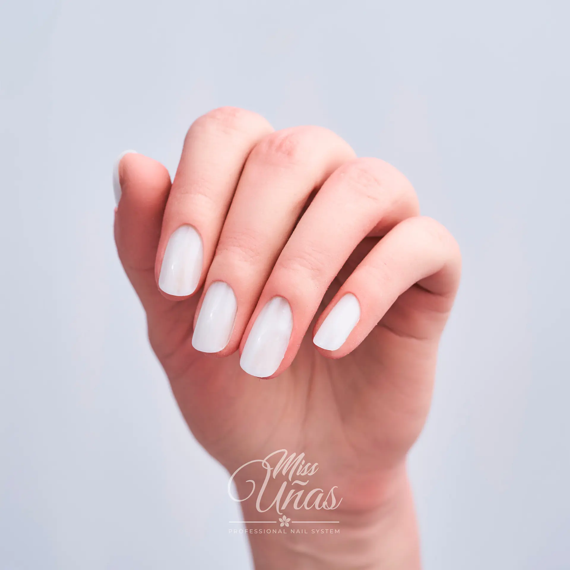 MS - 165 (MILKY) 2