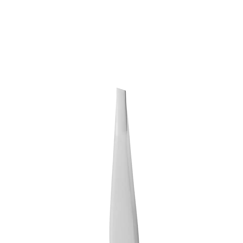STALEKS EXPERT 10 TYPE 4 2