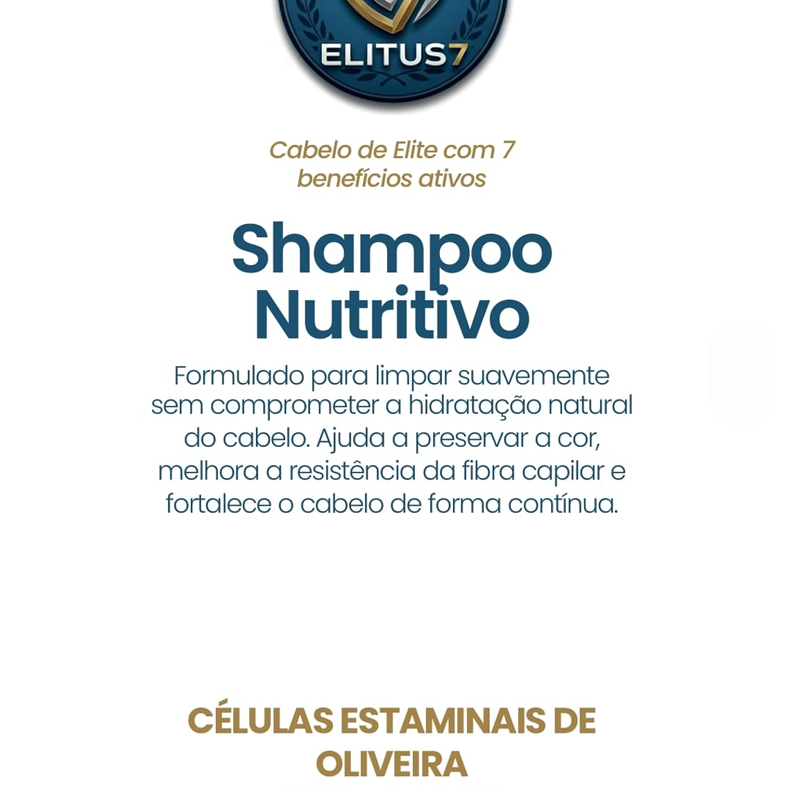 Shampoo Nutritivo 1L 2