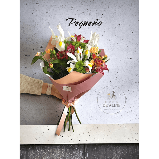 Ramos tamaño Pequeño 15 Varas