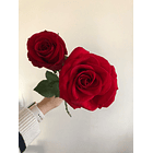 Bouquet de Rosas Rojas 5