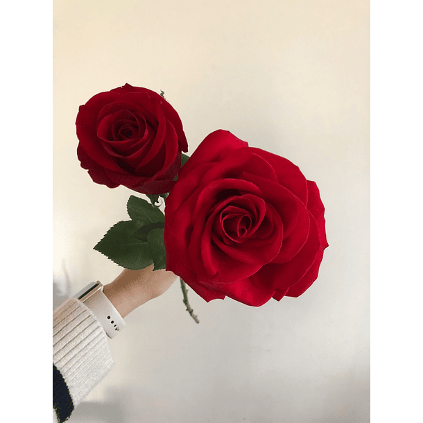 Bouquet de Rosas Rojas 5