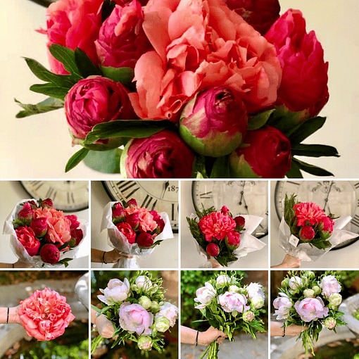 5 Peonías