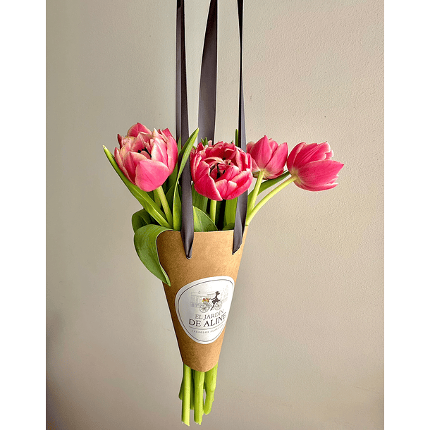Tulipanes en Cono 2