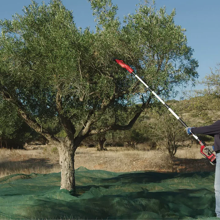 Cosechadora Inalámbrica de Olivos y Frutas GE-FS 18/53 Li-Solo Einhell 18V 4