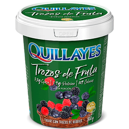 Yoghurt Quillayes Trozos Berries 800g