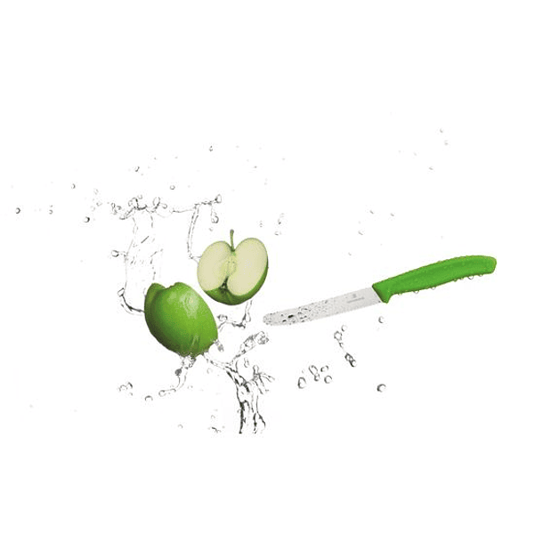 Cuchillo de mesa y cuchillo para tomates Swiss Classic. color Verde. Hoja 11 cm. Victorinox® 2