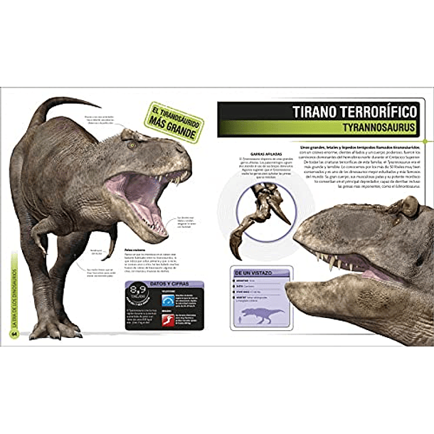 Enciclopedia Super Dinosaurios DK 2
