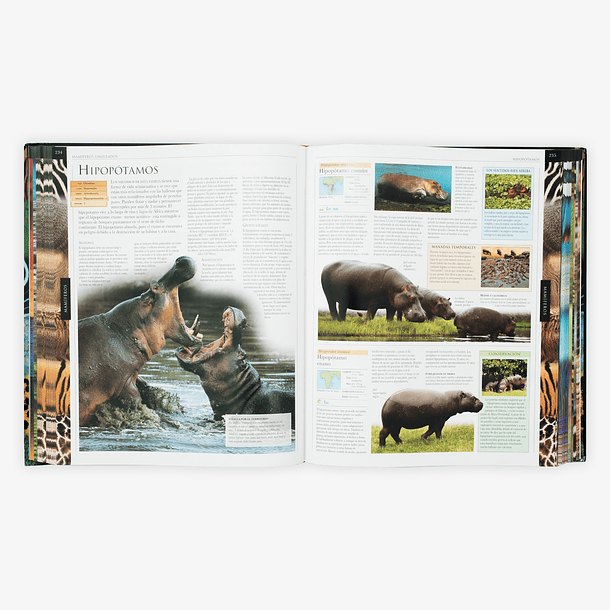 Enciclopedia Animal guía visual DK | ELPARRILLERO.CL Premium Store