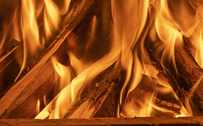 ¿Porqué Leña Certificada?