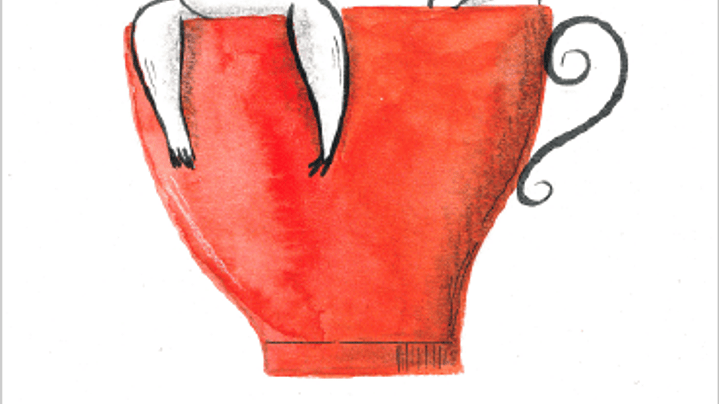 Set 12 Iáminas ilustradas 8