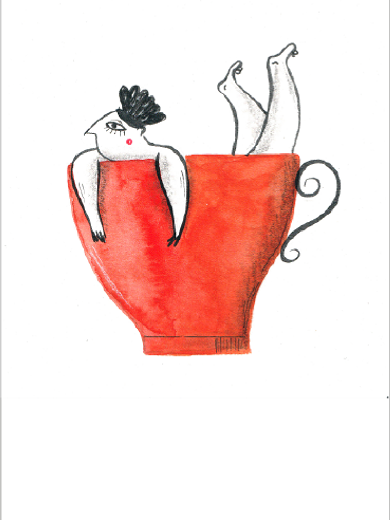 Set 12 Iáminas ilustradas 8