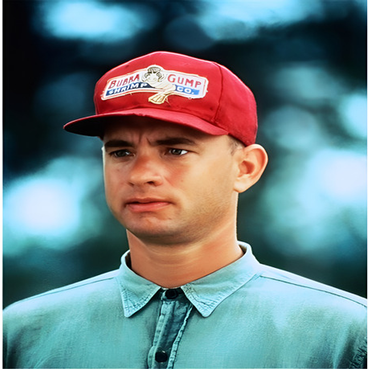 Gorro Bubba Gump Jockey Snapback Forrest Gump Envió Gratis 7