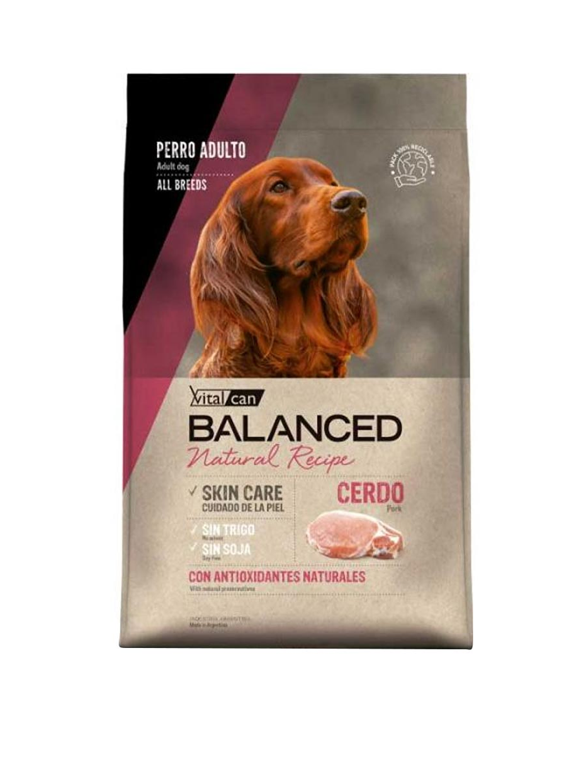 Balanced Natural Recipe Cerdo 15 Kg 1