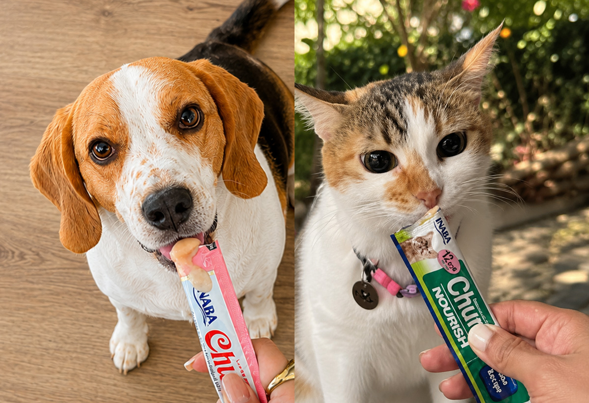 Churu La Serena: La guía definitiva del snack que enamora a tu mascota (y cómo conseguirlo 4x3)