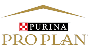 Elqui House | Comida Premium para Perros y Gatos en La Serena y Chile