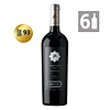 Pack 6 Amplus One Carmenere - Viña Santa Ema