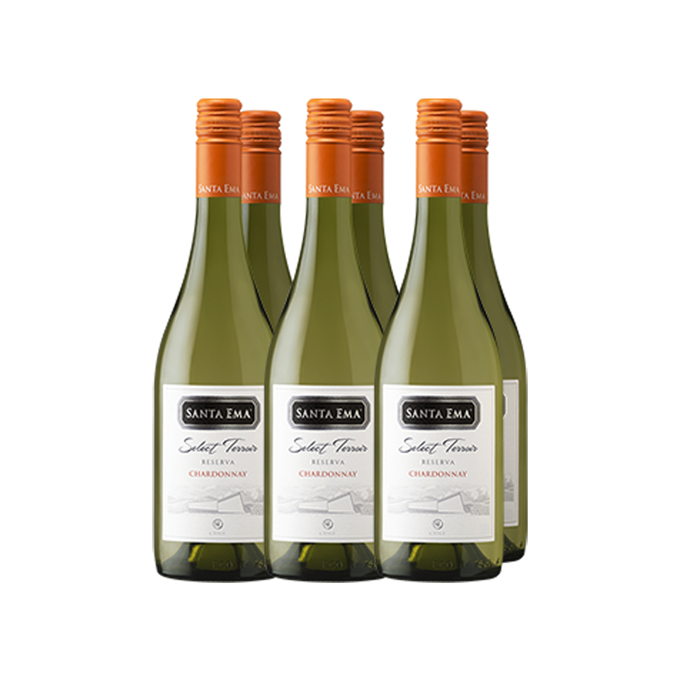Pack 6 Chardonnay Select Terroir Reserva - Viña Santa Ema