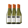 Pack 6 Chardonnay Select Terroir Reserva - Viña Santa Ema