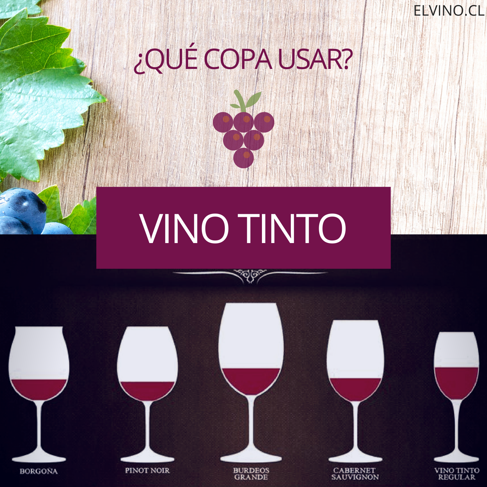 ¿Qué copas se usan para un vino tinto?