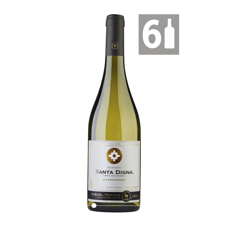 Pack 6 Chardonnay Reserva Santa Digna - Viña Miguel Torres