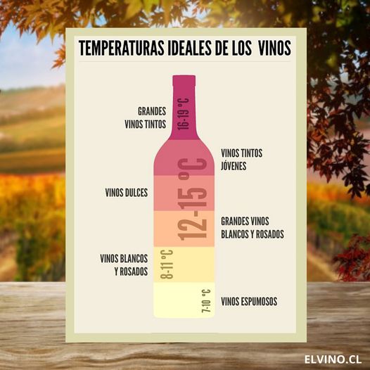 ¿Cuál es la temperatura ideal para servir un vino? 