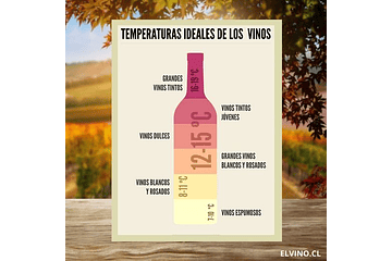 ¿Cuál es la temperatura ideal para servir un vino? 