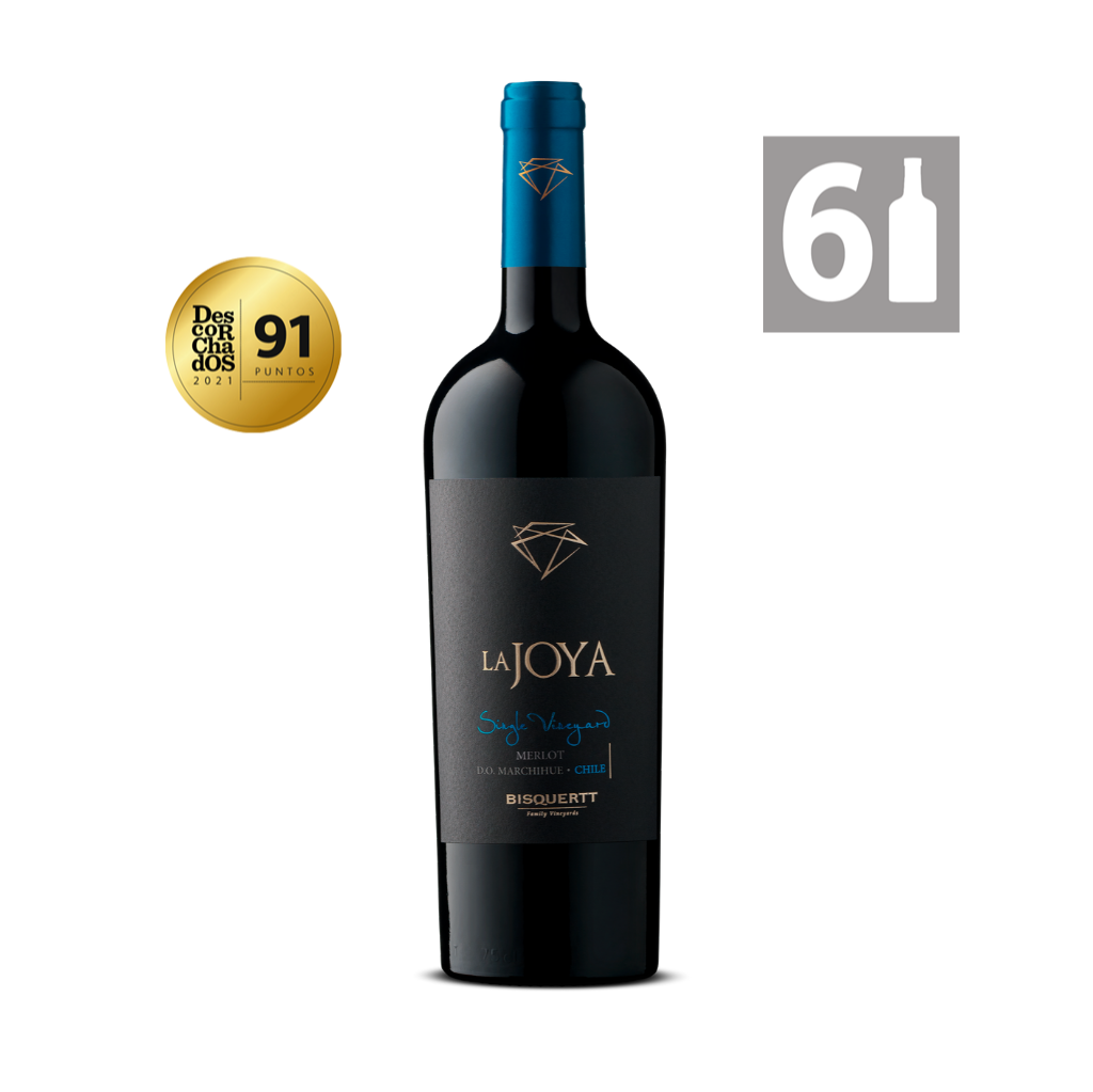 Pack 6 La Joya Single Vineyard Merlot - Viña Bisquertt