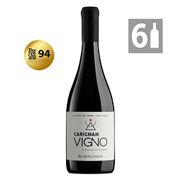 Pack 6 Vigno Carignan Gran Reserva - Viña Bouchon