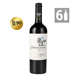 Pack 6 Reserva Carmenere - Viña Bouchon