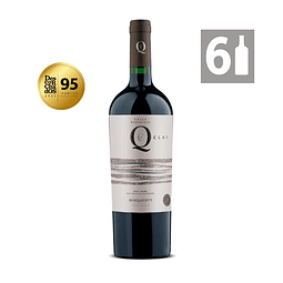 Pack 6 Q Clay Blend (Syrah - Malbec) - Viña Bisquertt