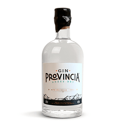Gin Provincia Andes Dry