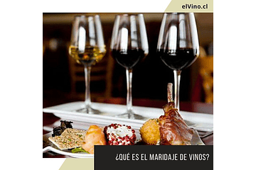 ¿ Qué es el maridaje de vinos?