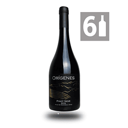 Pack 6 Pinot Noir 2019 - Origenes Wine