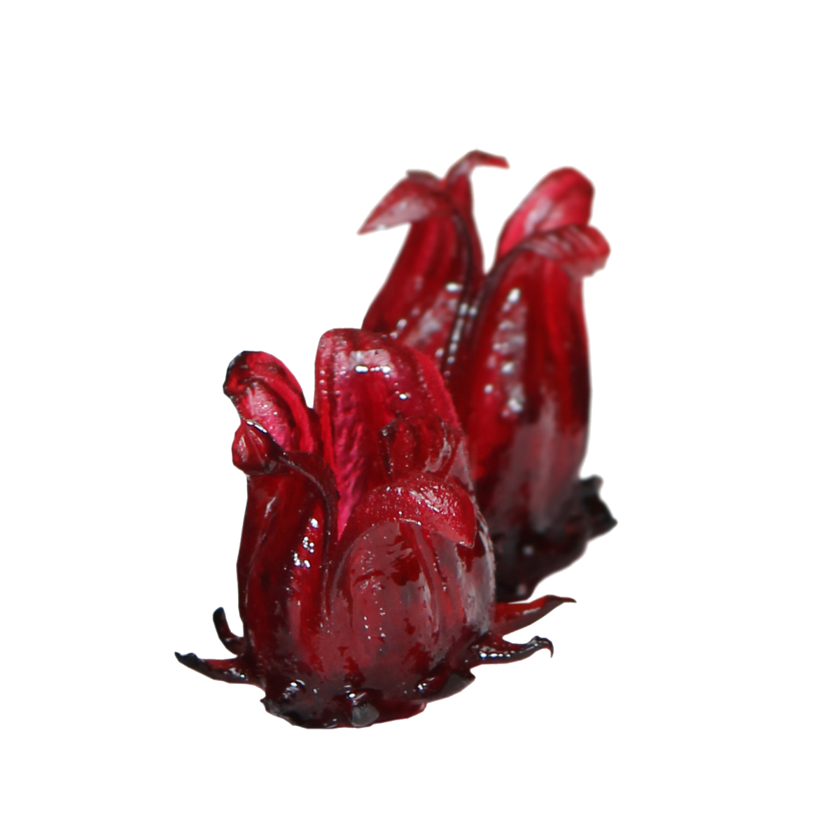 Flores de Hibiscus en Syrup 250 grs - Wild Hibiscus