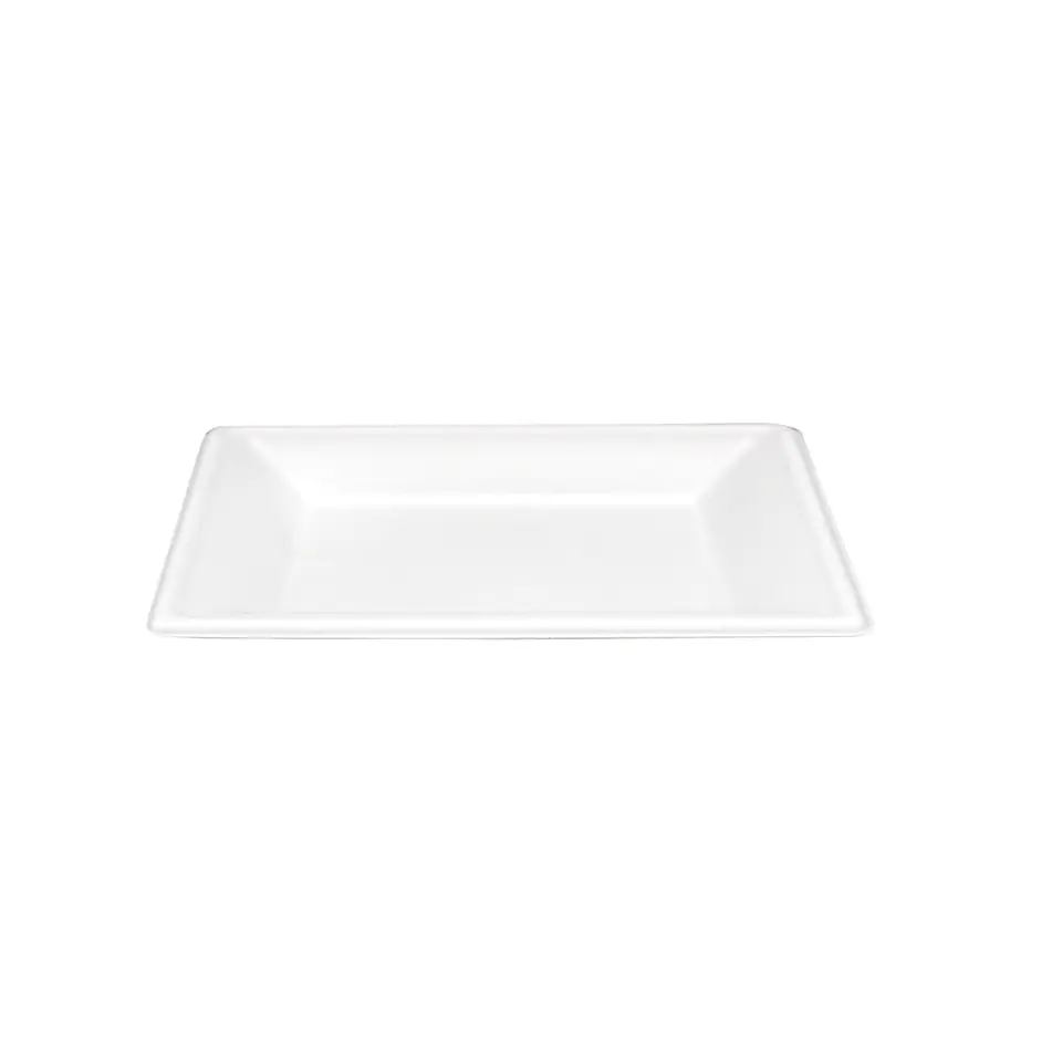 BANDEJA LP01 BAGASSE => 10 Unidad/es 1