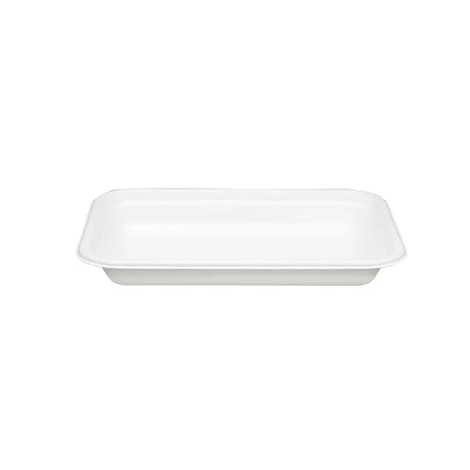 BANDEJA LP02 BAGASSE => 10 Unidad/es 1
