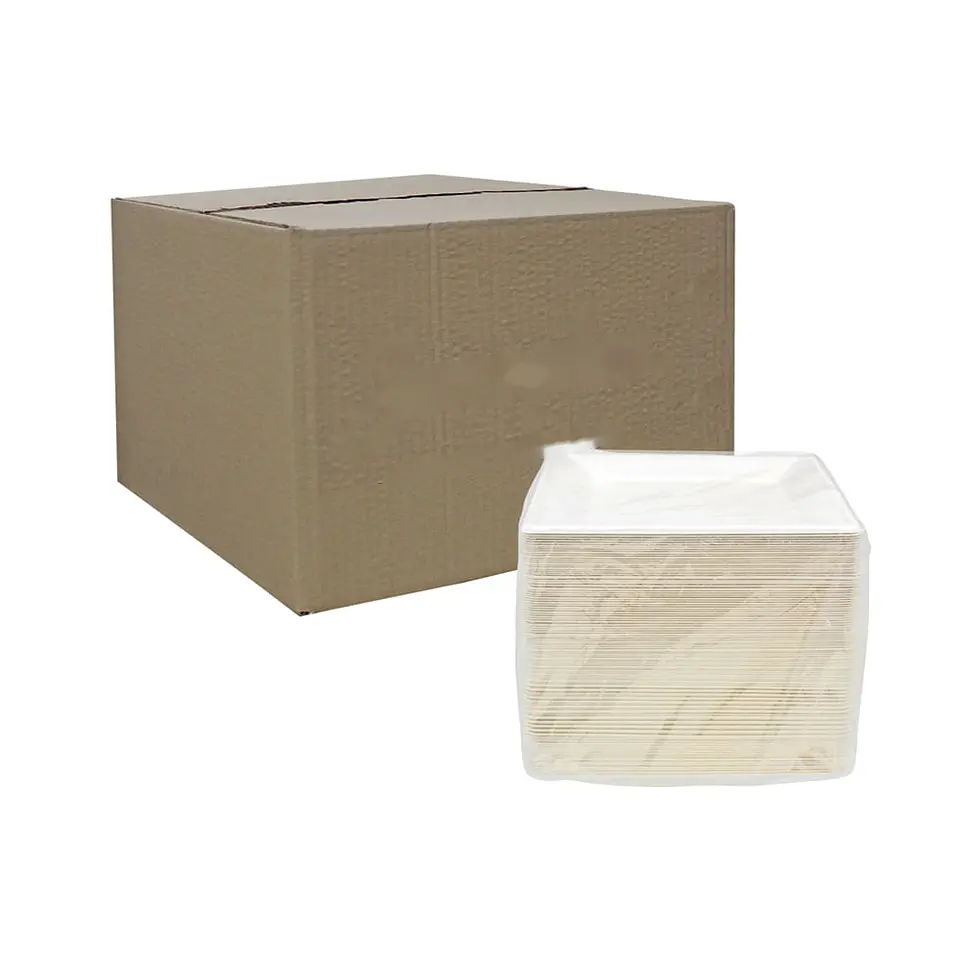 BANDEJA LP01 BAGASSE => 10 Unidad/es 2