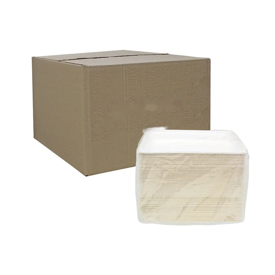 BANDEJA LP02 BAGASSE => 10 Unidad/es 2
